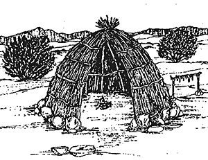 Many native cultures built cone-shaped huts (wikiups) made of willow branches covered with brush or mats made of tule leaves. The shelters were utilized primarily for sleeping or as refuge in cases of inclement weather. Europeans generally regarded such contrivances as "...evidence of the Indians' inability to fashion more sophisticated structures." Wikiup.jpg