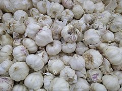 Wild HIll Garlic of Tamilnadu.jpg
