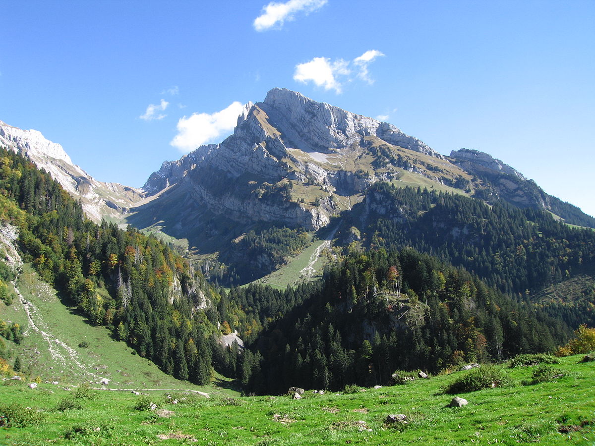 Wildhuser Schafberg Wikipedia