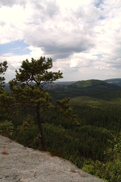 File:Winterstein 2012-05-27-7327.jpg