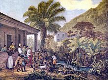 Indigenous people at a Brazilian farm plantation in Minas Gerais ca. 1824 Indios em uma fazenda.jpg