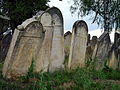 Gravestones in the Jewish cemetery in the town of Úsov, Šumperk District.