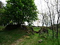 Čeština: Pohled na židovský hřbitov u vsi Olšany v okrese Jindřichův Hradec, Jihočeský kraj. English: View of the Jewish cemetery by the village of Olšany, Jindřichův Hradec District, South Bohemian Region, Czech Republic.