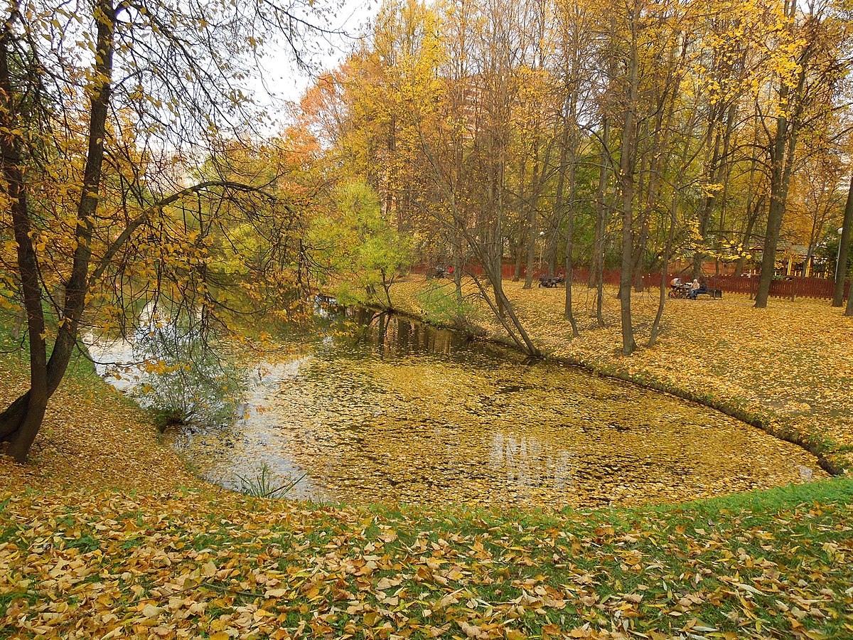 Парк воронцовские пруды