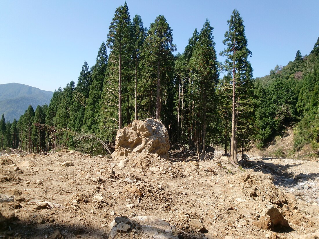 Temporada de lluvias en Niigata y Fukushima de 2011