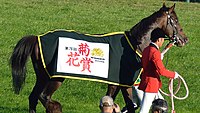 菊花賞優勝馬着を着装したキタサンブラック