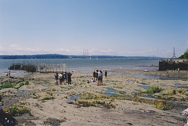 Boats of the Transat Québec–Saint-Malo on the St. Lawrence River in 2000