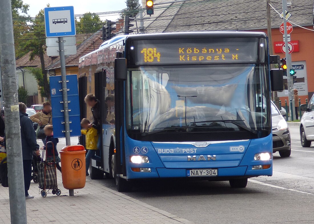 184-es busz (Budapest)