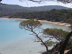 2005 Playa de Notre-Dame Porquerolles 24.JPG