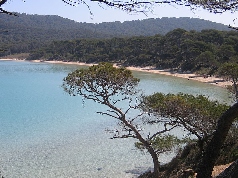 File:2005 Plage Notre-Dame Porquerolles 24.JPG