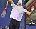 2013 US Open (Tennis) - Ivo Karlovic (9645585337).jpg