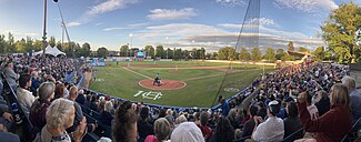 Royal Athletic Park during a HarbourCats game in August 2023 2023 08 09 HarbourCats Baseball 26.jpg