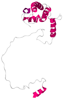 2KR6.pdb.png