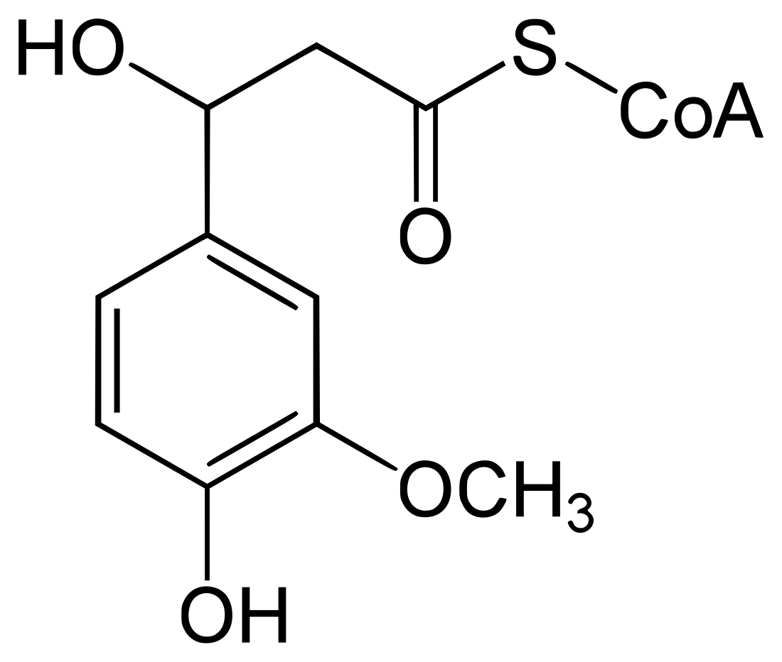 Vanillin-Synthase