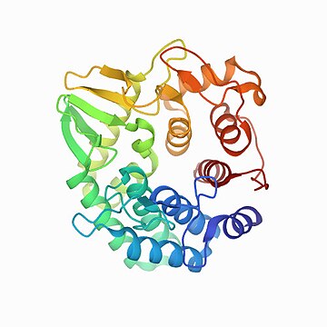 Glucanase