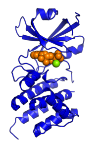 Proteinkinase R