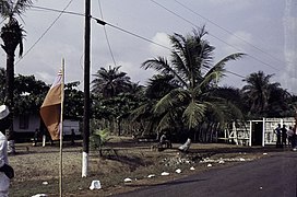 ASC Leiden - F. van der Kraaij Collection - 14 - 74 - Local tourists along an asphalt road with tall trees - Kendeja Village, Monrovia, Montserrado County, Liberia - 1977-1978.jpg