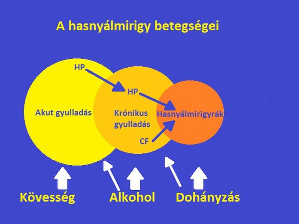 webmd periodontális betegség és szív egészsége