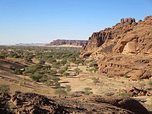 Ennedi Plateau is located at the border of the Sahara and the Sahel Acacia Trees (24227057806).jpg