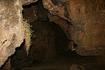 Miniatura para Cueva de la Hoz