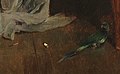 Alfred Stevens Psyche parrot detail.jpg