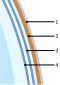 Coquille seule avec des numéros