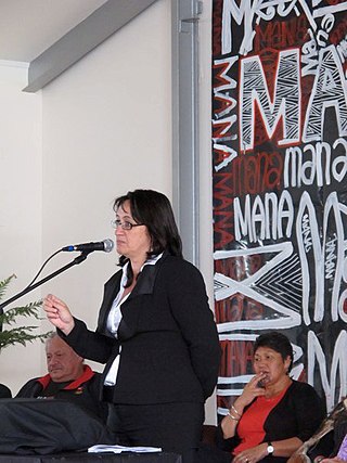 <span class="mw-page-title-main">Annette Sykes</span> New Zealand politician (born 1961)