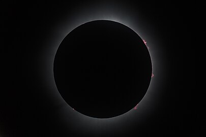 Totality as seen from Rondeau Provincial Park, Ontario