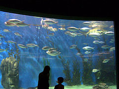 Aquarium in Melbourne, Australia