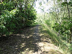 Le site du terril n° 140.