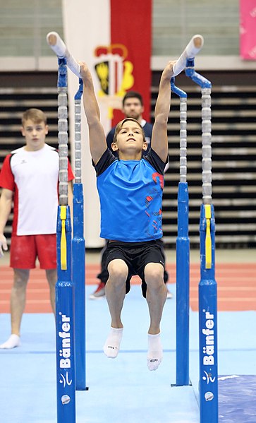 File:Austrian Future Cup 2018-11-23 Training Afternoon Parallel bars (Martin Rulsch) 0335.jpg