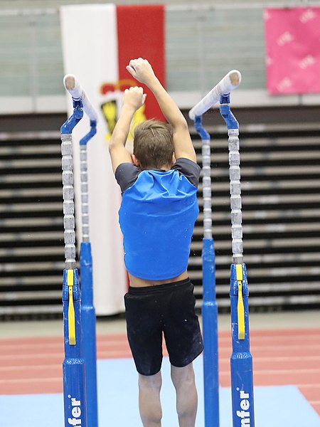 File:Austrian Future Cup 2018-11-23 Training Afternoon Parallel bars (Martin Rulsch) 0519.jpg