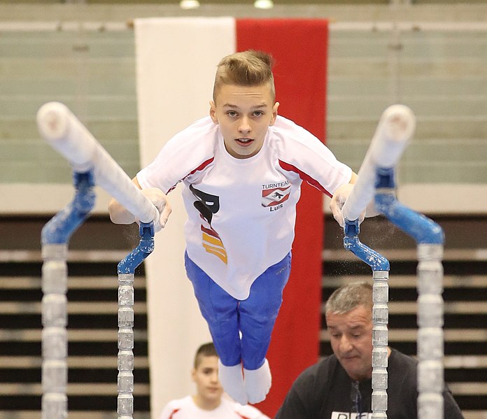 File:Austrian Future Cup 2018-11-23 Training Afternoon Parallel bars (Martin Rulsch) 0939.jpg