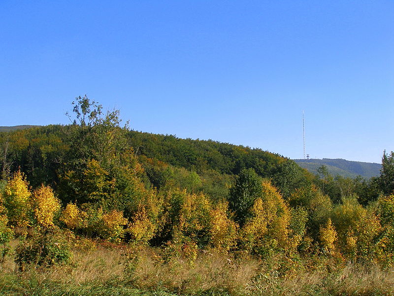File:Autumn11Slovakia4.jpg