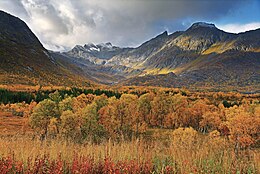 Podzimní krajina poblíž Gullesfjordbotn, Hinnøya, září 2010.jpg