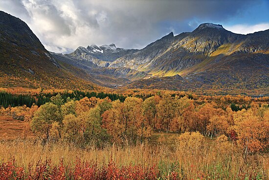 Trên đảo Hinnøya, ở đầu vịnh hẹp Gullesfjorden, và trên bờ biển phía tây ở miền Bắc Na Uy. Ảnh: Simo Räsänen