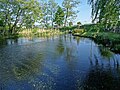 ブルーノ・プラス 「安曇野わさび田湧水群公園」