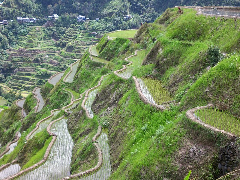 File:Banaue Rice Terraces2.jpg