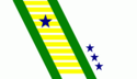 Bandeira de Vicentina