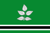 Flag of Vidrà