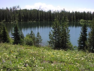 Bearpaw Lake (Teton County, Wyoming) Lake in Teton County, Wyoming, USA