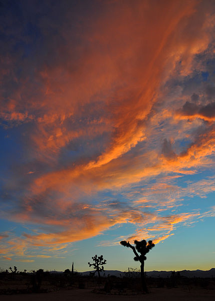 File:Big Sky Country.jpg