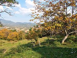 Skyline of Biksad