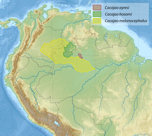 Black-headed Uakari distribution map.png