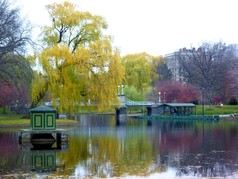 File:Boston Public Garden (4236208386).jpg