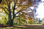 Botanical Garden of TU Braunschweig