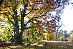 Botanischer Garten Braunschweig - Braunschweig, Allemagne - DSC04359.JPG