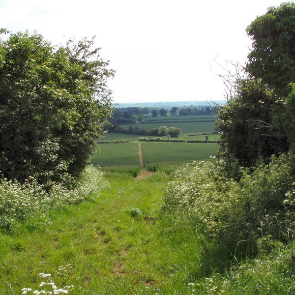 File:Bridleway to Upper Astrop - geograph.org.uk - 453147.jpg