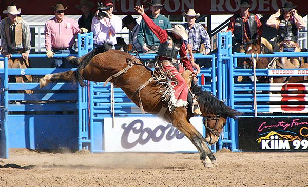 Cowboy wearing leather chaps at a rodeo