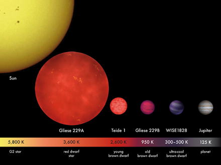 Brown dwarfs Teide 1, Gliese 229B, and WISE 1828+2650 compared to red dwarf Gliese 229A, Jupiter and our Sun